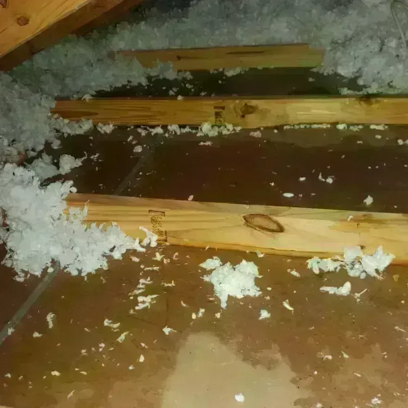 Attic Water Damage in Dahlgren, VA